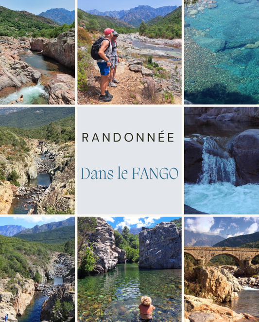 BUREAU MONTAGNE DE BALAGNE