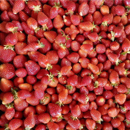 LE POTAGER DE LA SIGNORIA